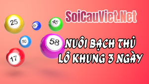 bạch thủ lô khung 3 ngày