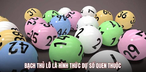 Bạch thủ lô là hình thức dự số quen thuộc