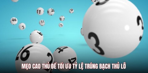 Mẹo cao thủ để tối ưu tỷ lệ trúng Bạch thủ lô