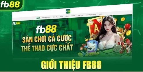 Nhà cái FB88 là gì và được xây dựng ra sao?