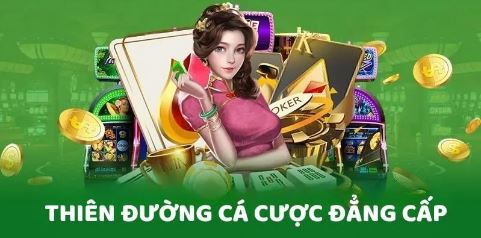 Các Hướng Dẫn Cơ Bản Về Nhà Cái