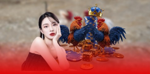 Sử dụng ví điện tử