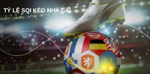 Đọc tỷ lệ kèo nhà cái 5 – Cách tiếp cận dễ hiểu và thực tế