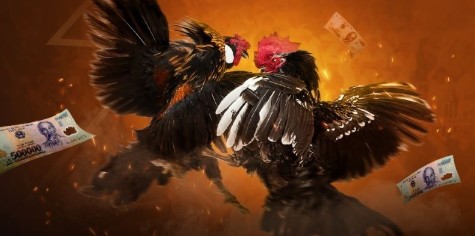 Những ưu điểm hấp dẫn khi tham gia tại nền tảng