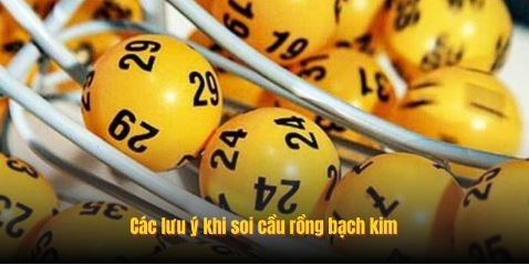 Các lưu ý khi soi cầu rồng bạch kim