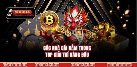 Các nhà cái nằm trong top giải trí hàng đầu 