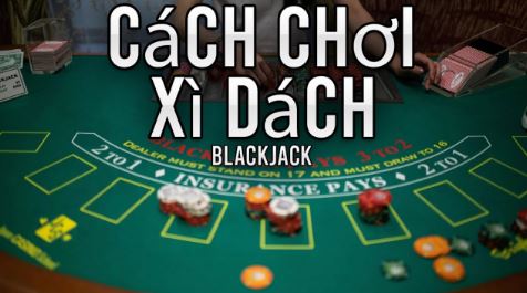Tìm hiểu các bước trong cách chơi xì dách