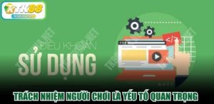 Trách nhiệm người chơi là yếu tố quan trọng tại tk88vina.net