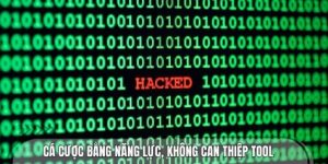 Trách nhiệm người chơi cá cược không dùng tool