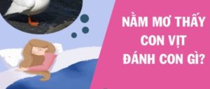 Nằm mơ thấy con vịt đánh con gì