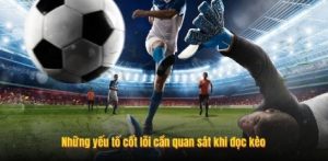 Những yếu tố cốt lõi cần quan sát khi đọc kèo