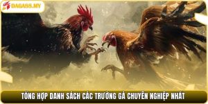 Tổng hợp danh sách các trường gà chuyên nghiệp nhất.