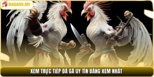 Xem trực tiếp đá gà uy tín đáng xem nhất