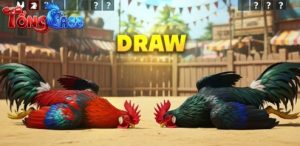 Tổng Gà 88 khẳng định vị thế sân chơi đá gà đẳng cấp nhất 2026