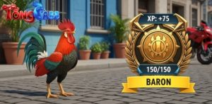 Điểm danh các đấu trường đá gà kịch tính