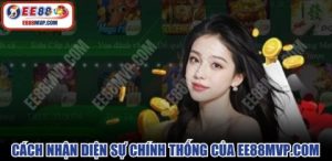Ý nghĩa sống còn của giấy phép hoạt động EE88 MVP