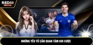 Những yếu tố cần quan tâm khi cược