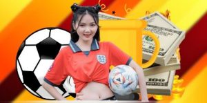 Cách theo dõi bảng tỷ lệ hiệu quả dành cho hội viên