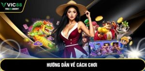 Hướng dẫn về cách chơi
