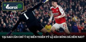 Tại sao cần chú ý sự biến thiên tỷ lệ kèo bóng đá đêm nay?