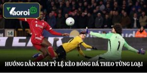 Hướng dẫn xem tỷ lệ kèo bóng đá theo từng loại