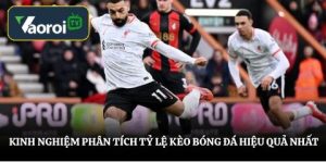 Kinh nghiệm phân tích tỷ lệ kèo bóng đá hiệu quả nhất
