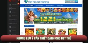 Những lưu ý cần thiết dành cho bet thủ